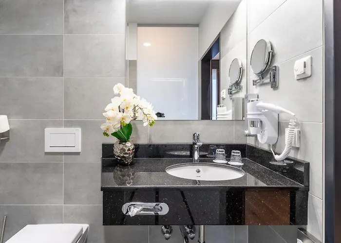 Plaza Wiener Neustadt, Bw Signature Collection 3* Vídeňské Nové Město